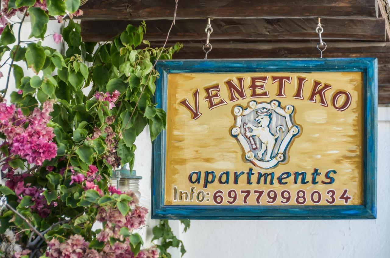 维内提克公寓酒店 Naxos City 外观 照片